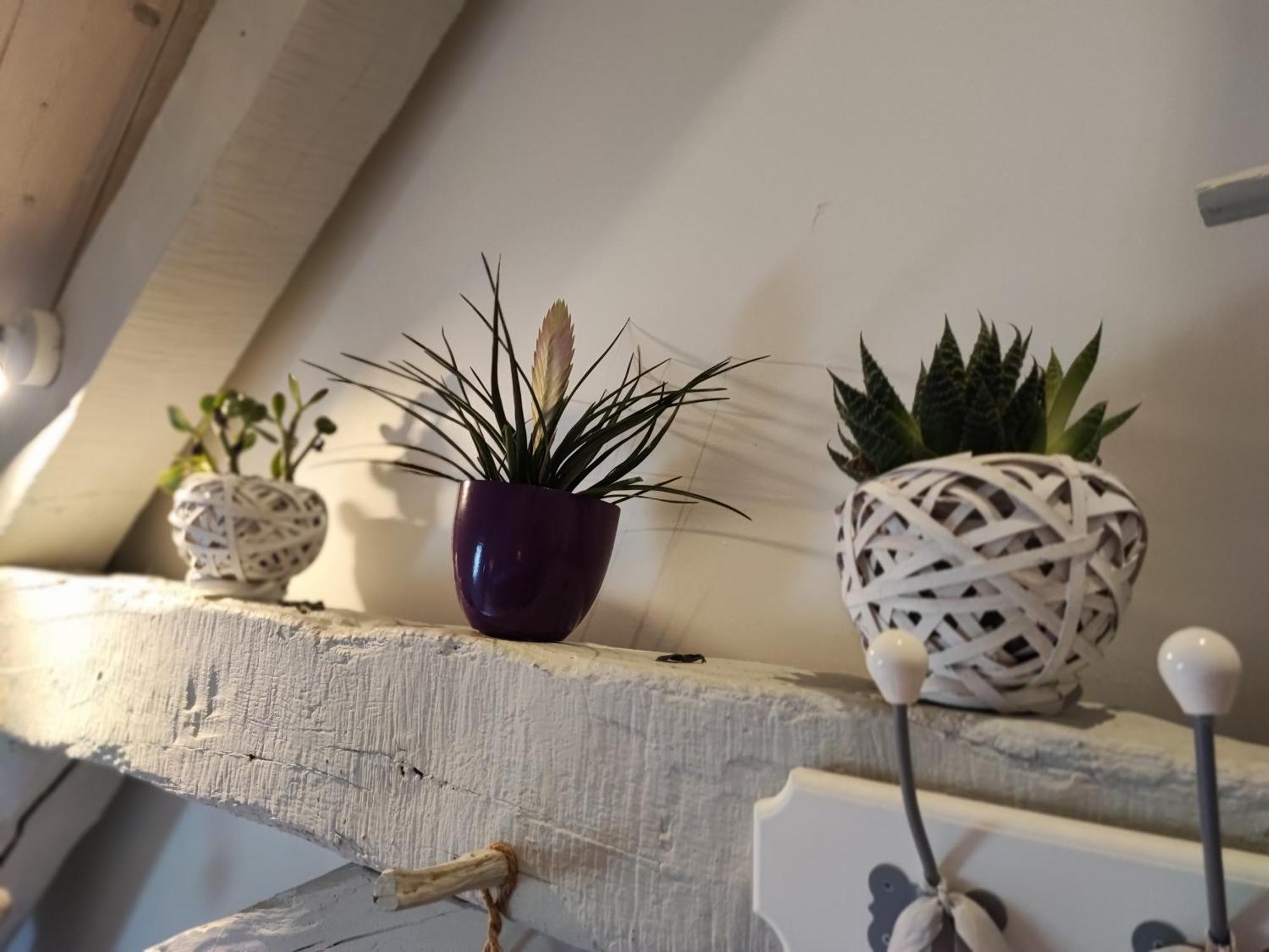 Le Domaine Du Sens Bed & Breakfast Frontenaud Стая снимка