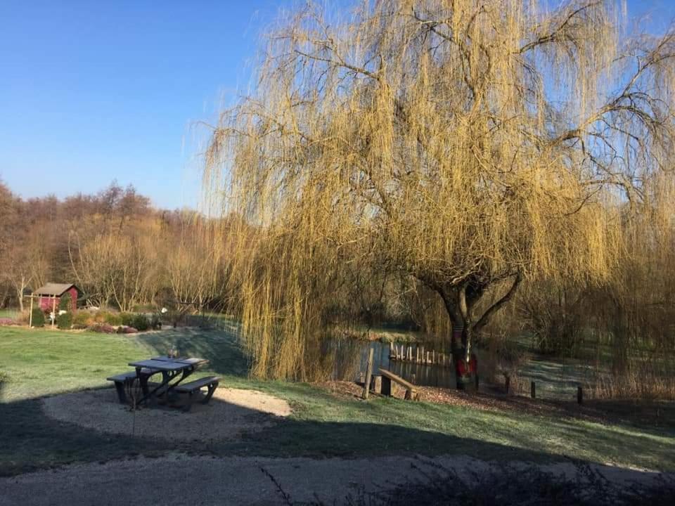 Le Domaine Du Sens Bed & Breakfast Frontenaud Екстериор снимка